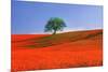 Italy, Tuscany. Abstract of oak tree on red flower-covered hillside-Jaynes Gallery-Mounted Premium Photographic Print