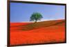 Italy, Tuscany. Abstract of oak tree on red flower-covered hillside-Jaynes Gallery-Framed Photographic Print