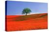 Italy, Tuscany. Abstract of oak tree on red flower-covered hillside-Jaynes Gallery-Stretched Canvas