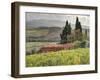 Italy, Tuscany. Autumn Ivy Covering a Building in a Vineyard-Julie Eggers-Framed Premium Photographic Print