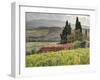 Italy, Tuscany. Autumn Ivy Covering a Building in a Vineyard-Julie Eggers-Framed Premium Photographic Print