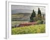 Italy, Tuscany. Autumn Ivy Covering a Building in a Vineyard-Julie Eggers-Framed Photographic Print