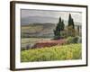 Italy, Tuscany. Autumn Ivy Covering a Building in a Vineyard-Julie Eggers-Framed Photographic Print