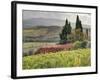 Italy, Tuscany. Autumn Ivy Covering a Building in a Vineyard-Julie Eggers-Framed Photographic Print