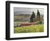 Italy, Tuscany. Autumn Ivy Covering a Building in a Vineyard-Julie Eggers-Framed Photographic Print