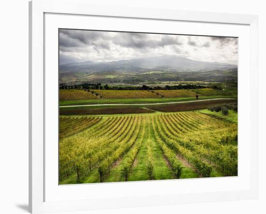 Italy, Tuscany, Autumn Vineyards-Terry Eggers-Framed Photographic Print