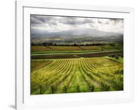 Italy, Tuscany, Autumn Vineyards-Terry Eggers-Framed Photographic Print