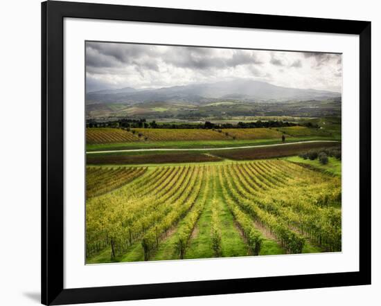 Italy, Tuscany, Autumn Vineyards-Terry Eggers-Framed Photographic Print