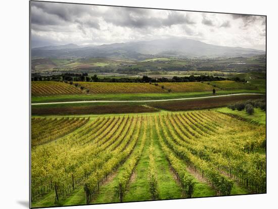 Italy, Tuscany, Autumn Vineyards-Terry Eggers-Mounted Photographic Print