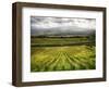 Italy, Tuscany, Autumn Vineyards-Terry Eggers-Framed Photographic Print