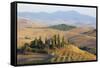 Italy, Tuscany. Belvedere House, Olive trees, and vineyards near San Quirico d'Orcia.-Julie Eggers-Framed Stretched Canvas