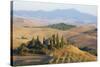 Italy, Tuscany. Belvedere House, Olive trees, and vineyards near San Quirico d'Orcia.-Julie Eggers-Stretched Canvas
