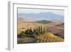 Italy, Tuscany. Belvedere House, Olive trees, and vineyards near San Quirico d'Orcia.-Julie Eggers-Framed Photographic Print