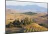 Italy, Tuscany. Belvedere House, Olive trees, and vineyards near San Quirico d'Orcia.-Julie Eggers-Mounted Photographic Print