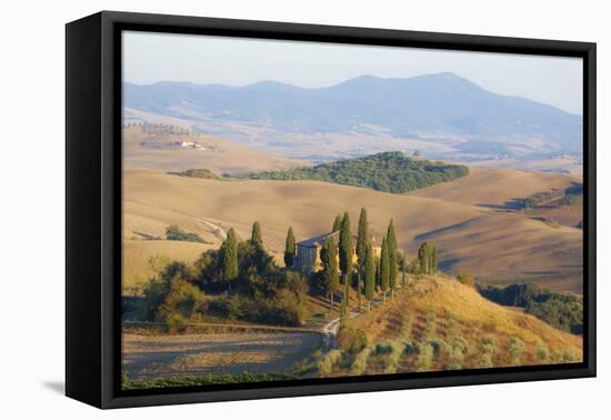 Italy, Tuscany. Belvedere House, Olive trees, and vineyards near San Quirico d'Orcia.-Julie Eggers-Framed Stretched Canvas