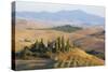 Italy, Tuscany. Belvedere House, Olive trees, and vineyards near San Quirico d'Orcia.-Julie Eggers-Stretched Canvas