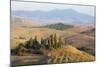 Italy, Tuscany. Belvedere House, Olive trees, and vineyards near San Quirico d'Orcia.-Julie Eggers-Mounted Photographic Print