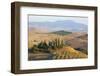 Italy, Tuscany. Belvedere House, Olive trees, and vineyards near San Quirico d'Orcia.-Julie Eggers-Framed Photographic Print