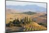 Italy, Tuscany. Belvedere House, Olive trees, and vineyards near San Quirico d'Orcia.-Julie Eggers-Mounted Photographic Print