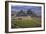 Italy, Tuscany. Belvedere House, Olive trees, and vineyards near San Quirico d'Orcia.-Julie Eggers-Framed Photographic Print