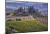 Italy, Tuscany. Belvedere House, Olive trees, and vineyards near San Quirico d'Orcia.-Julie Eggers-Mounted Photographic Print