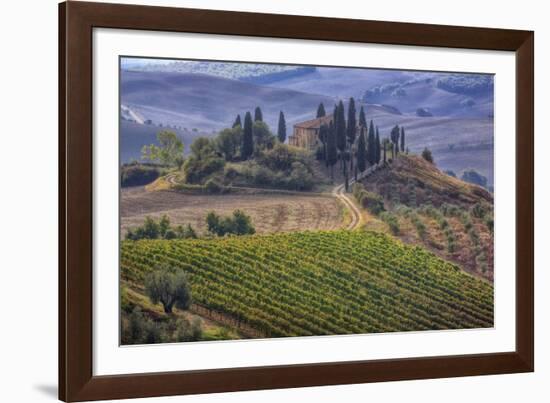 Italy, Tuscany. Belvedere House, Olive trees, and vineyards near San Quirico d'Orcia.-Julie Eggers-Framed Photographic Print