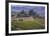 Italy, Tuscany. Belvedere House, Olive trees, and vineyards near San Quirico d'Orcia.-Julie Eggers-Framed Photographic Print