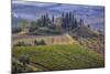 Italy, Tuscany. Belvedere House, Olive trees, and vineyards near San Quirico d'Orcia.-Julie Eggers-Mounted Photographic Print