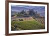 Italy, Tuscany. Belvedere House, Olive trees, and vineyards near San Quirico d'Orcia.-Julie Eggers-Framed Photographic Print