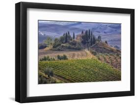 Italy, Tuscany. Belvedere House, Olive trees, and vineyards near San Quirico d'Orcia.-Julie Eggers-Framed Photographic Print