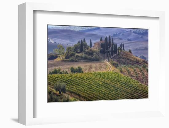 Italy, Tuscany. Belvedere House, Olive trees, and vineyards near San Quirico d'Orcia.-Julie Eggers-Framed Photographic Print