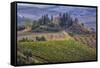 Italy, Tuscany. Belvedere House, Olive trees, and vineyards near San Quirico d'Orcia.-Julie Eggers-Framed Stretched Canvas