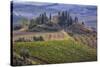 Italy, Tuscany. Belvedere House, Olive trees, and vineyards near San Quirico d'Orcia.-Julie Eggers-Stretched Canvas