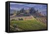 Italy, Tuscany. Belvedere House, Olive trees, and vineyards near San Quirico d'Orcia.-Julie Eggers-Framed Stretched Canvas