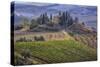 Italy, Tuscany. Belvedere House, Olive trees, and vineyards near San Quirico d'Orcia.-Julie Eggers-Stretched Canvas