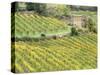 Italy, Tuscany. Brick Building in a Vineyard in the Chianti Region-Julie Eggers-Stretched Canvas