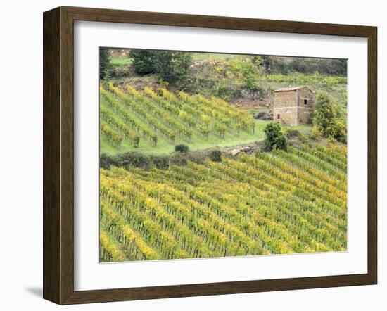 Italy, Tuscany. Brick Building in a Vineyard in the Chianti Region-Julie Eggers-Framed Premium Photographic Print