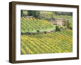 Italy, Tuscany. Brick Building in a Vineyard in the Chianti Region-Julie Eggers-Framed Premium Photographic Print