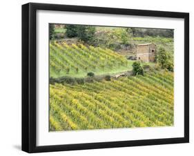 Italy, Tuscany. Brick Building in a Vineyard in the Chianti Region-Julie Eggers-Framed Premium Photographic Print