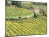 Italy, Tuscany. Brick Building in a Vineyard in the Chianti Region-Julie Eggers-Mounted Premium Photographic Print