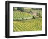 Italy, Tuscany. Brick Building in a Vineyard in the Chianti Region-Julie Eggers-Framed Photographic Print
