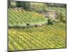 Italy, Tuscany. Brick Building in a Vineyard in the Chianti Region-Julie Eggers-Mounted Photographic Print