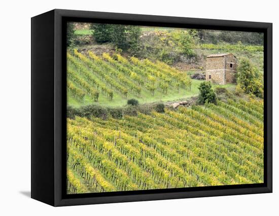 Italy, Tuscany. Brick Building in a Vineyard in the Chianti Region-Julie Eggers-Framed Stretched Canvas