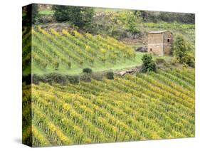 Italy, Tuscany. Brick Building in a Vineyard in the Chianti Region-Julie Eggers-Stretched Canvas