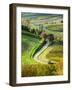 Italy, Tuscany, Chianti, Autumn, Road running through vineyards-Terry Eggers-Framed Photographic Print