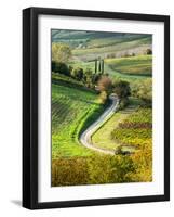 Italy, Tuscany, Chianti, Autumn, Road running through vineyards-Terry Eggers-Framed Photographic Print
