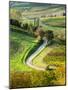 Italy, Tuscany, Chianti, Autumn, Road running through vineyards-Terry Eggers-Mounted Photographic Print