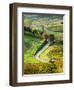 Italy, Tuscany, Chianti, Autumn, Road running through vineyards-Terry Eggers-Framed Photographic Print