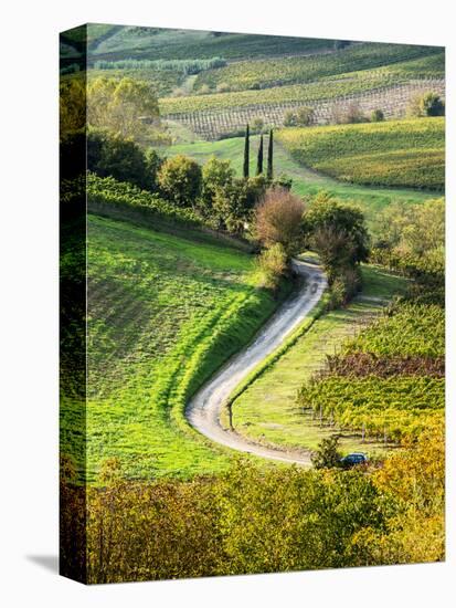 Italy, Tuscany, Chianti, Autumn, Road running through vineyards-Terry Eggers-Stretched Canvas