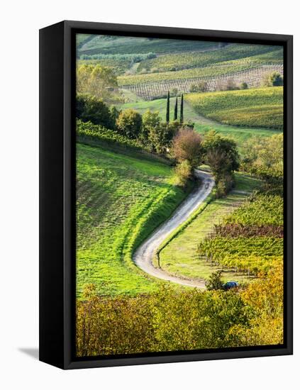 Italy, Tuscany, Chianti, Autumn, Road running through vineyards-Terry Eggers-Framed Stretched Canvas